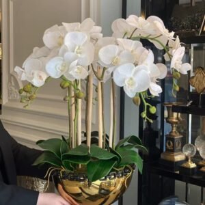 Vase for Table Decoration