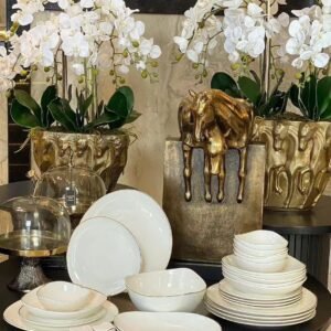 Modern Dish Kitchen Set