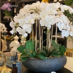 Elegant Tableware Vase